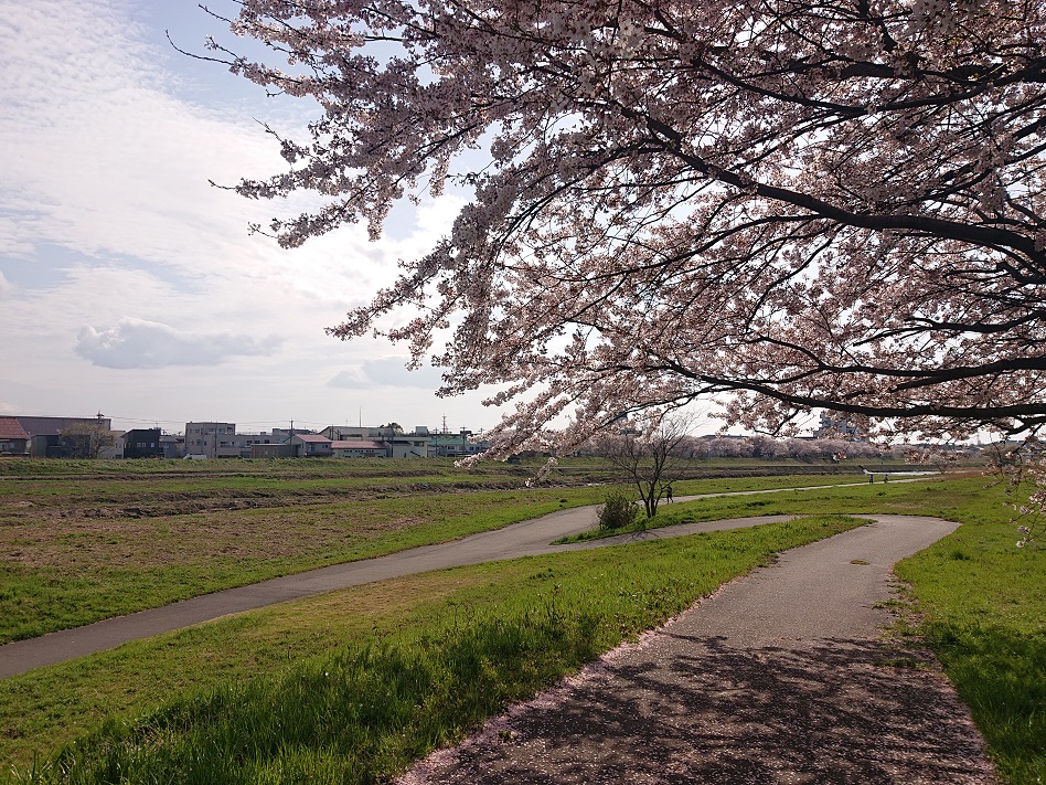 f:id:m6895dm829b:20210403212918j:plain