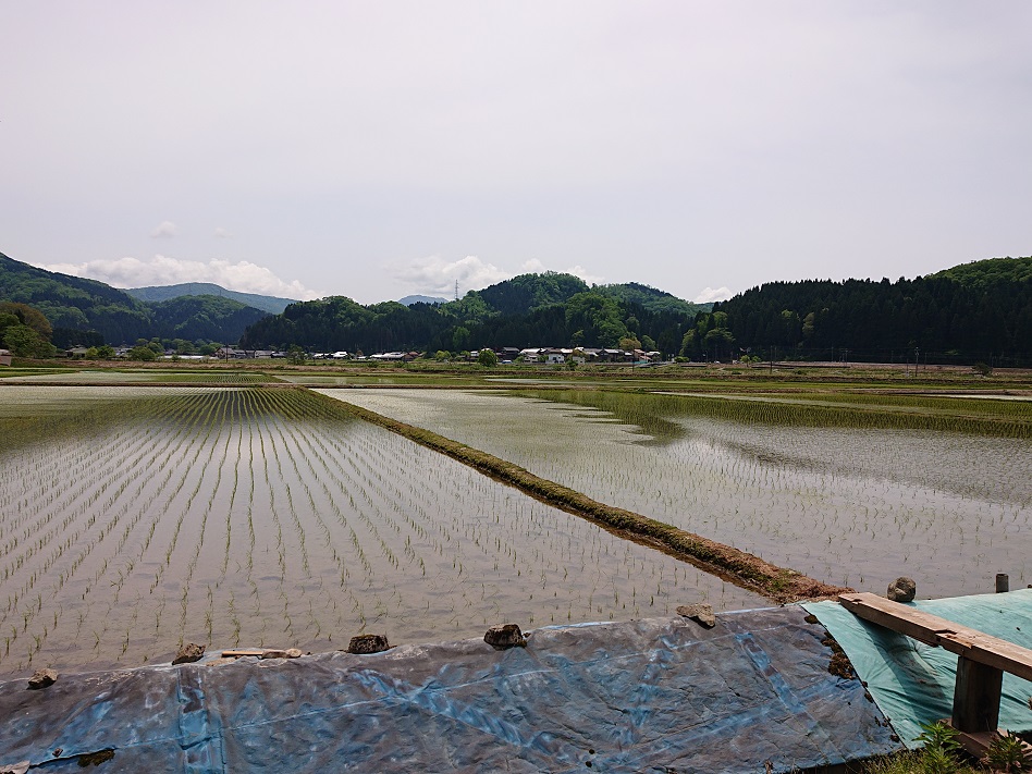 f:id:m6895dm829b:20210514202257j:plain