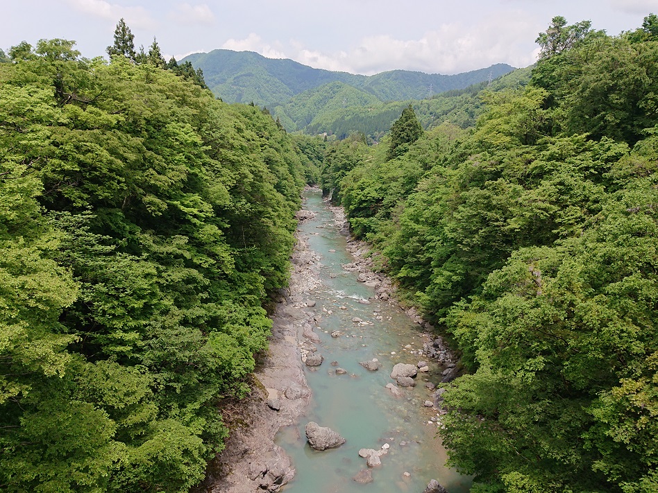 f:id:m6895dm829b:20210514205037j:plain