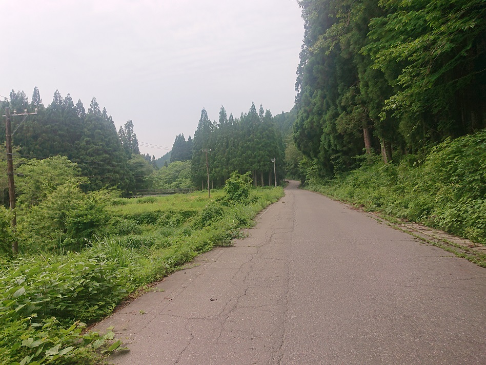 f:id:m6895dm829b:20210608161134j:plain