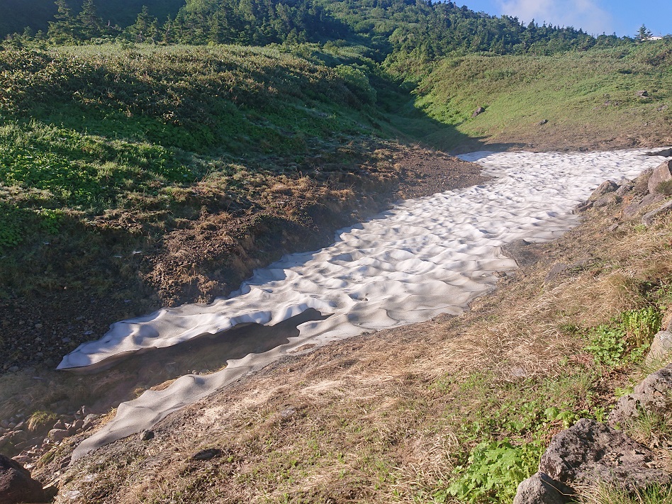 f:id:m6895dm829b:20210810221349j:plain