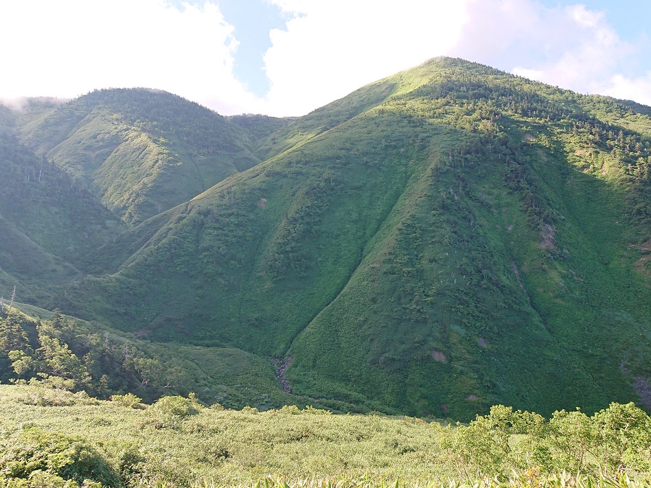 f:id:m6895dm829b:20210810221450j:plain