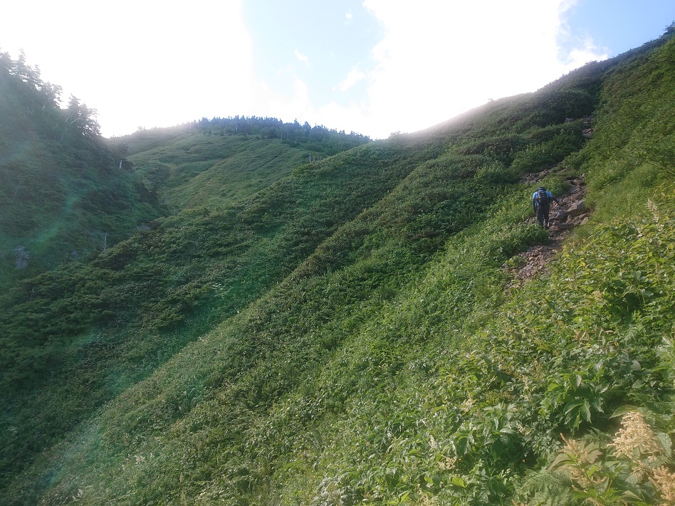 f:id:m6895dm829b:20210810221644j:plain