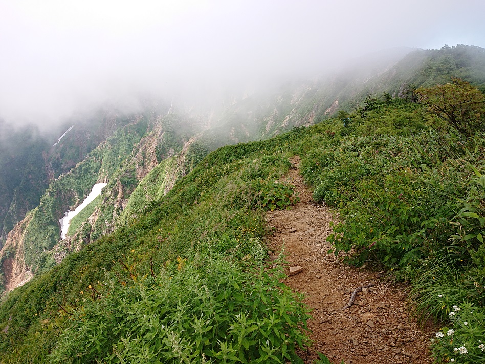 f:id:m6895dm829b:20210810222635j:plain