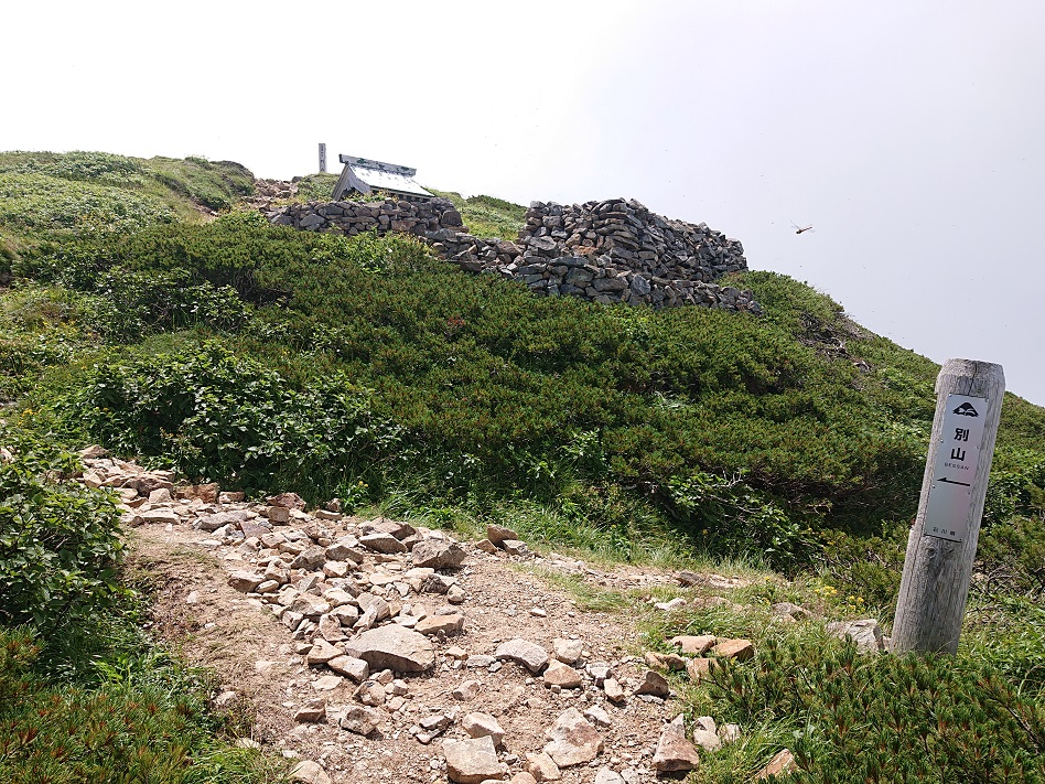 f:id:m6895dm829b:20210810225212j:plain