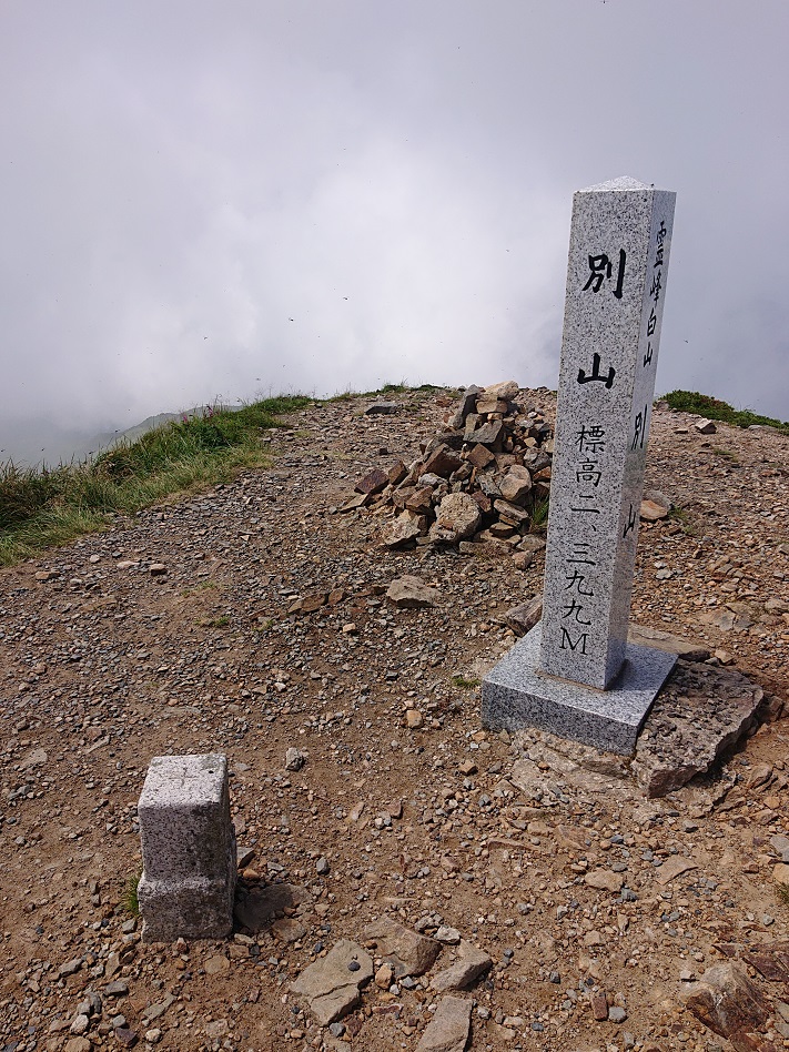 f:id:m6895dm829b:20210810230522j:plain