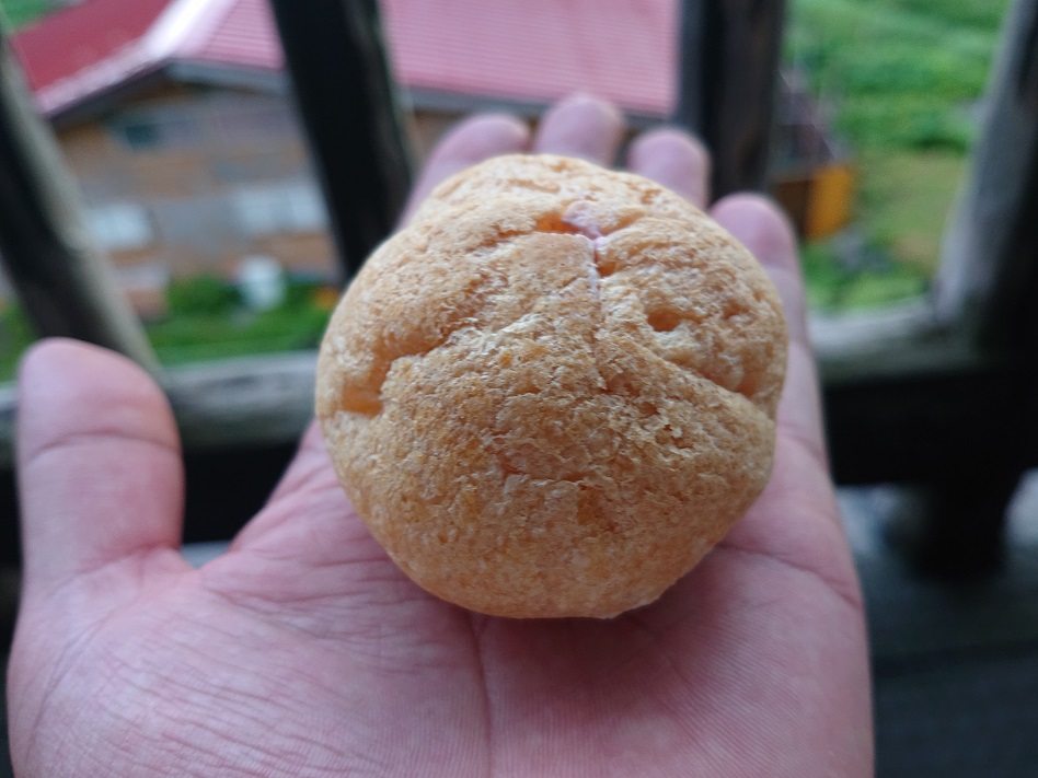 f:id:m6895dm829b:20210810232301j:plain