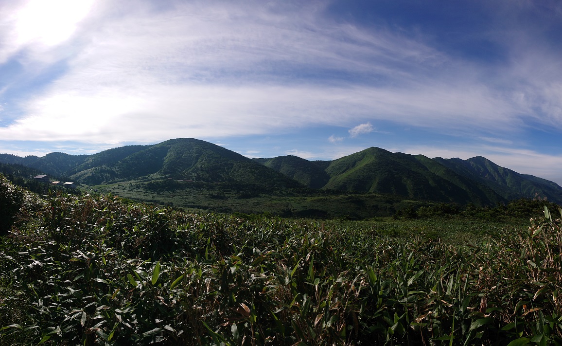 f:id:m6895dm829b:20210810232459j:plain