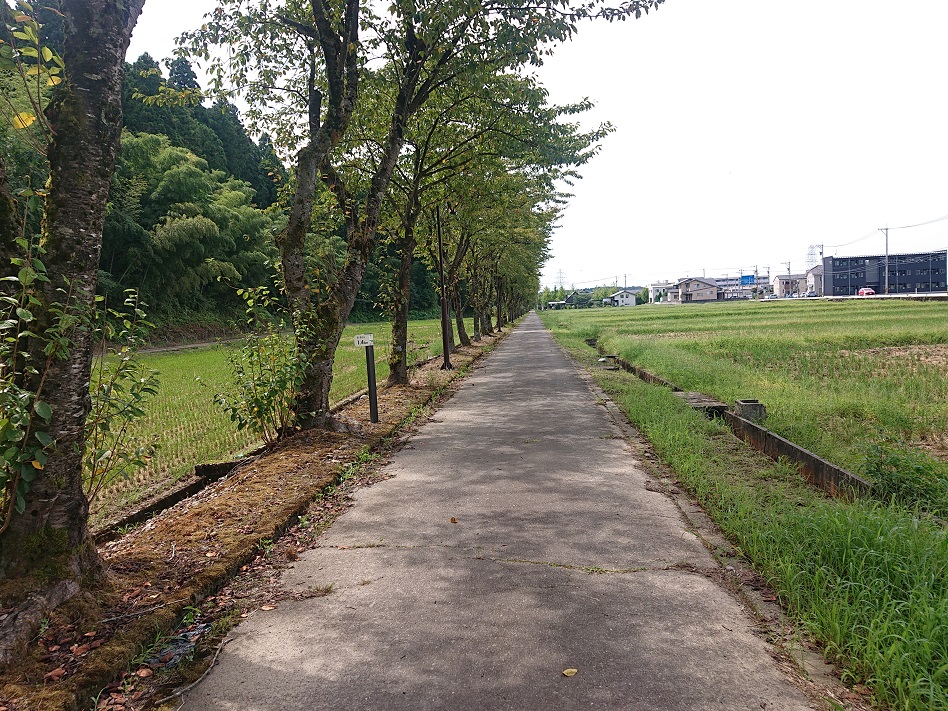 f:id:m6895dm829b:20210908000848j:plain