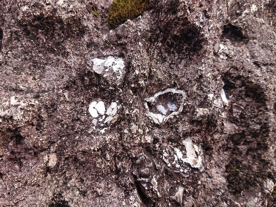 f:id:m6895dm829b:20210908002730j:plain