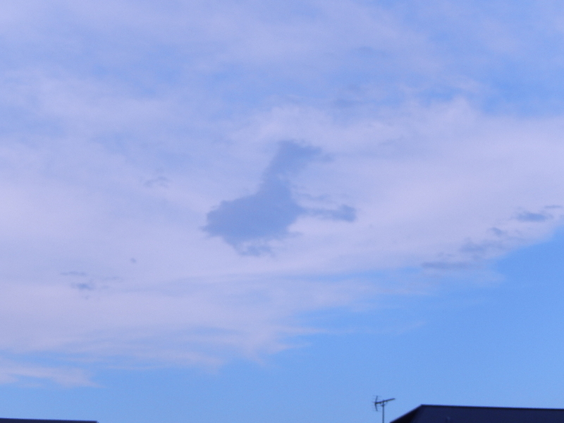 イメージ 1