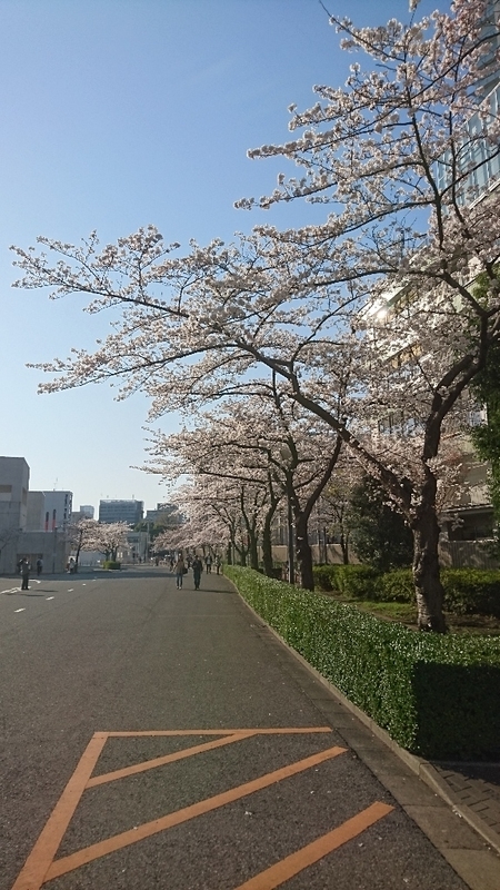 イメージ 4