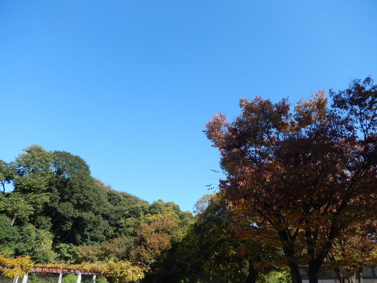 f:id:m6points:20201110220908j:plain