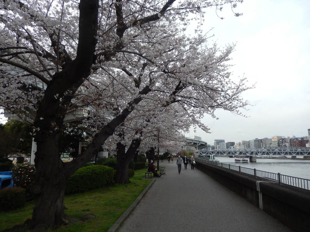 f:id:m6points:20210402180558j:plain