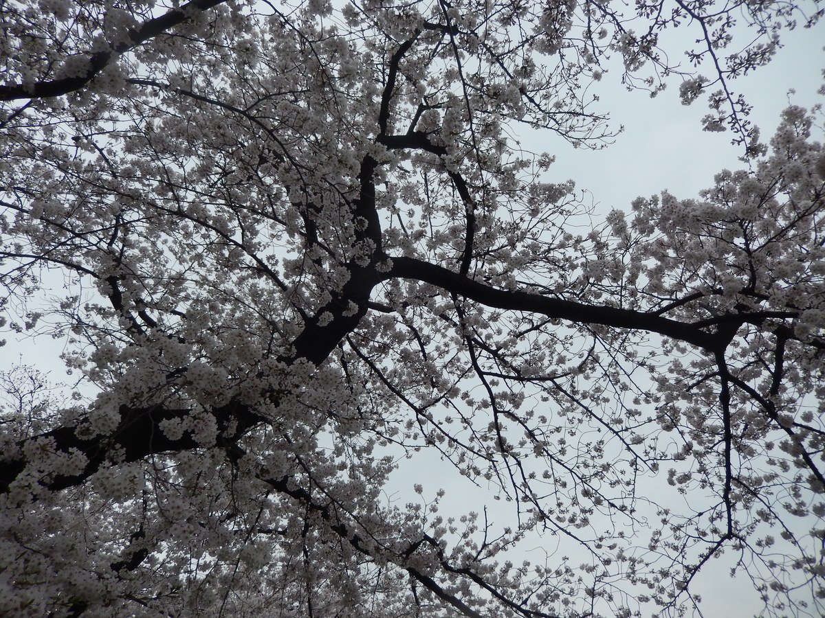f:id:m6points:20210402185857j:plain