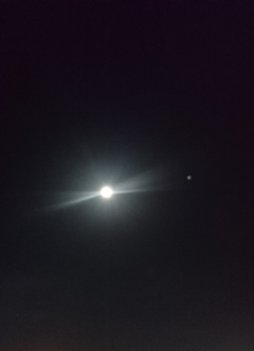 f:id:m6points:20210919213810j:plain
