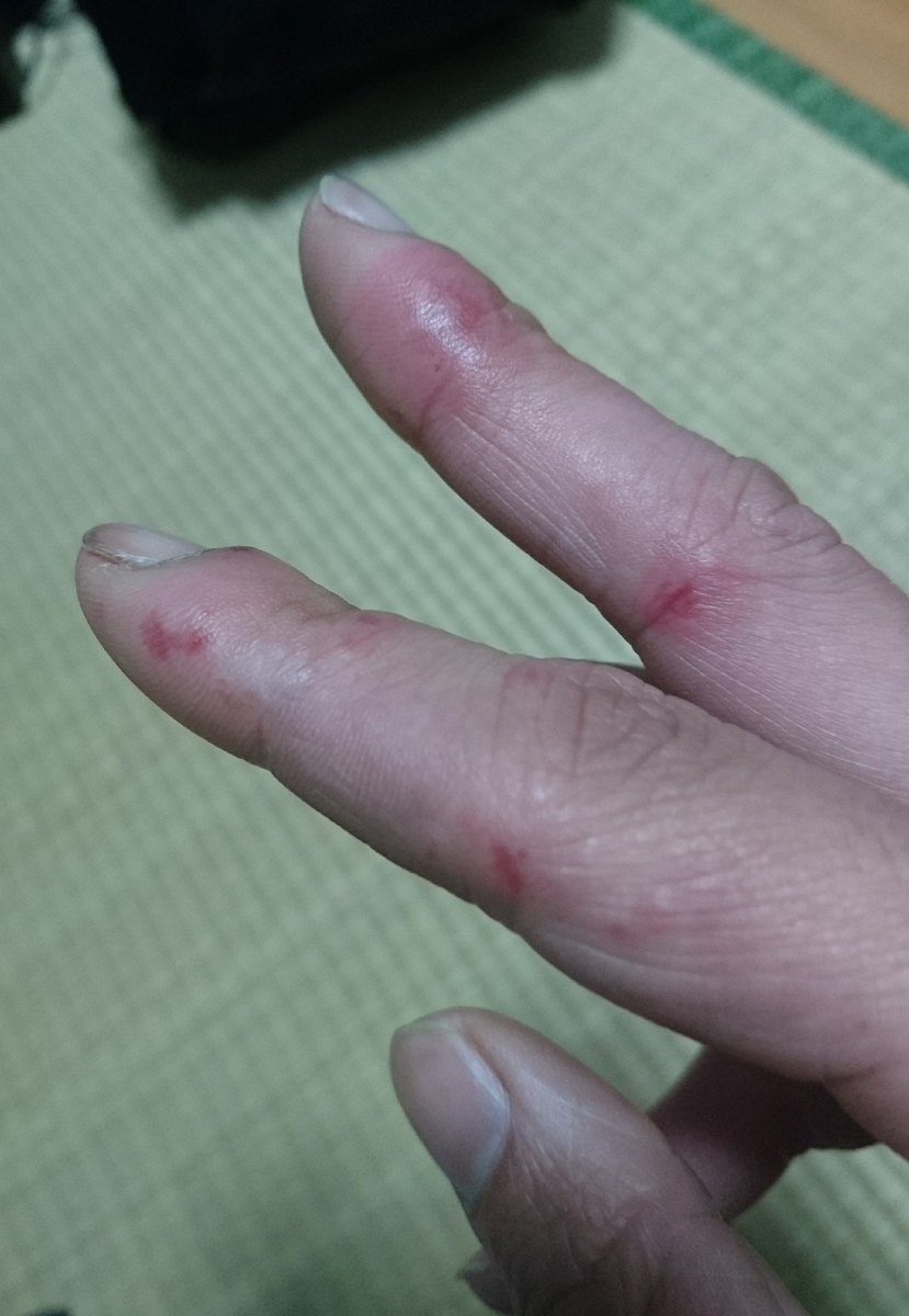 f:id:m6points:20211221221048j:plain