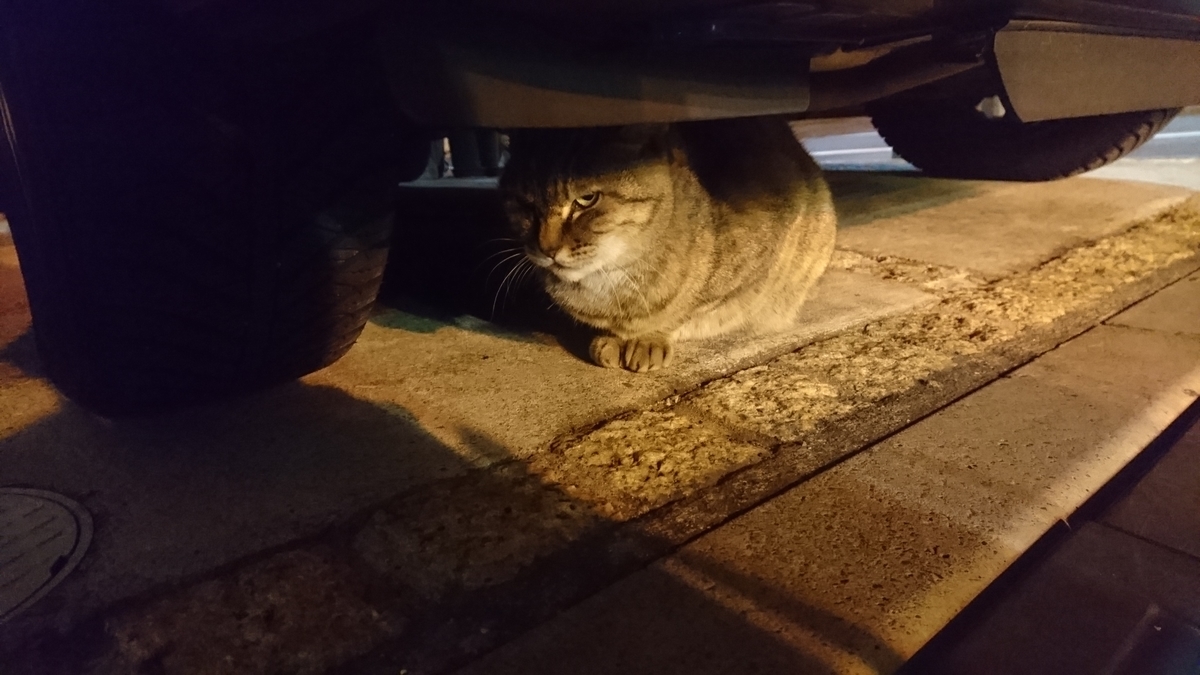 f:id:m6points:20220120212447j:plain