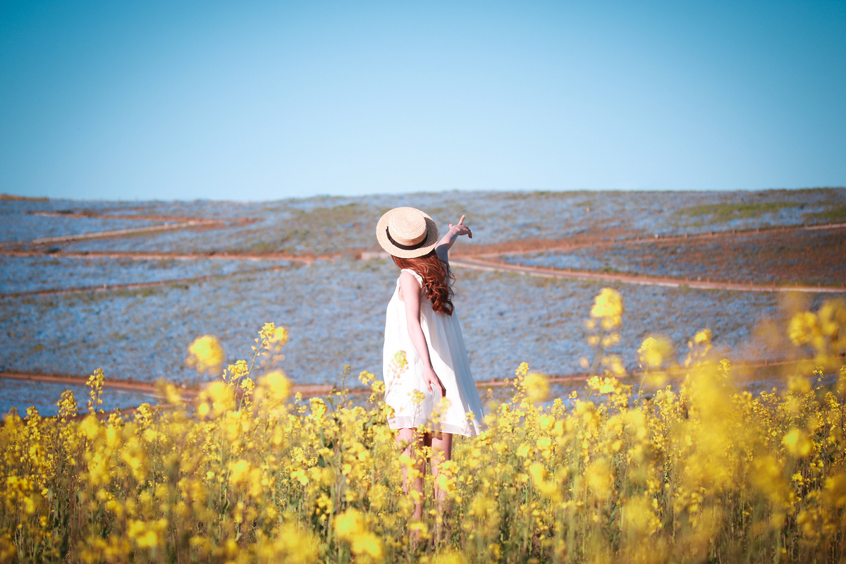 f:id:m78t2b3y4pfx:20190628073306j:plain f:id:m78t2b3y4pfx:20190628073306j:plain