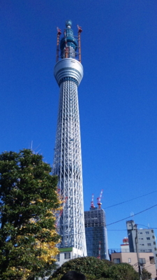 f:id:m8158:20101225123207j:image:left f:id:m8158:20101225123207j:image:left