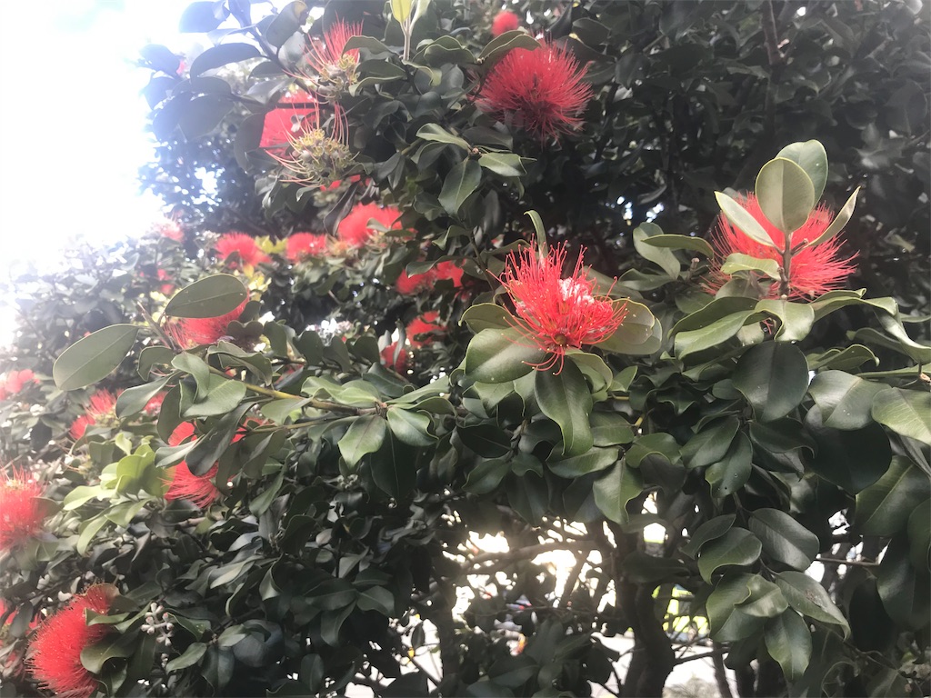 f:id:m909:20191019080306j:image