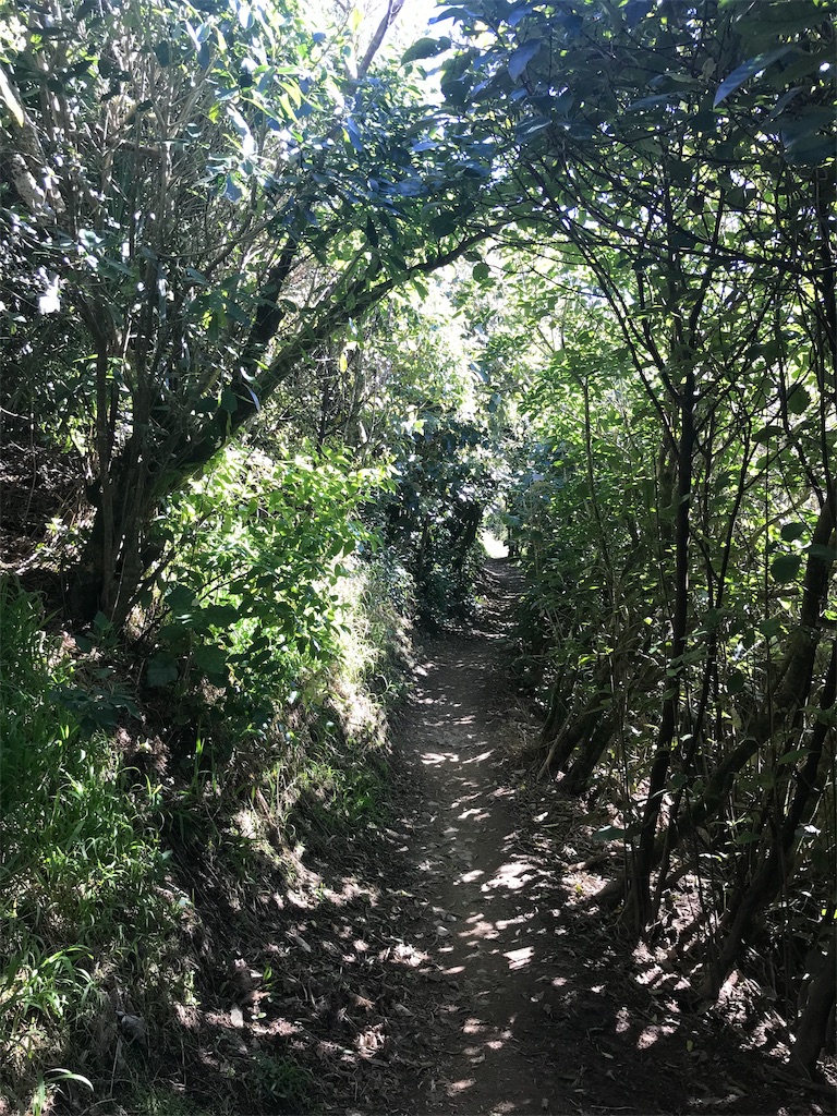 f:id:m909:20191019080357j:image
