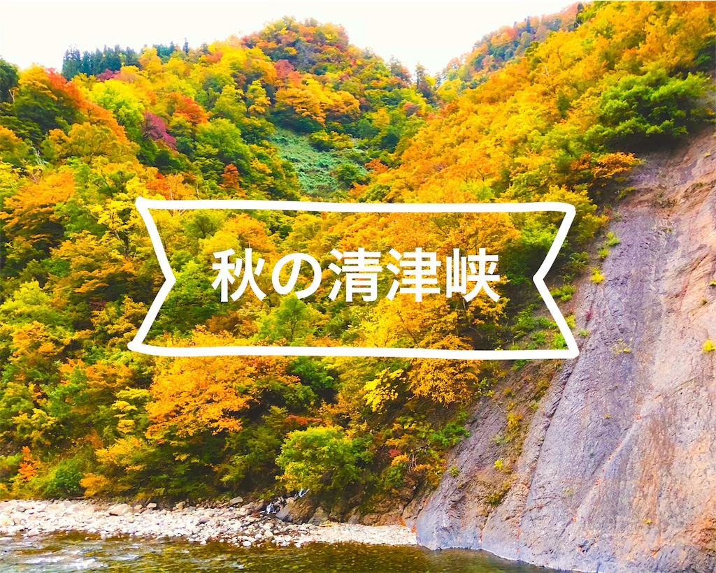 f:id:m929130:20181119001951j:image f:id:m929130:20181119001951j:image