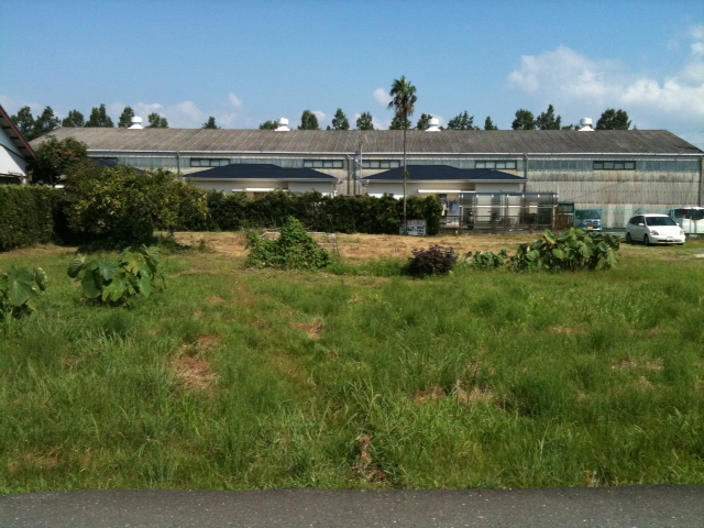 f:id:mA-style:20120314091917j:image:w360