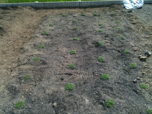 f:id:mA-style:20120723192516j:image:w360