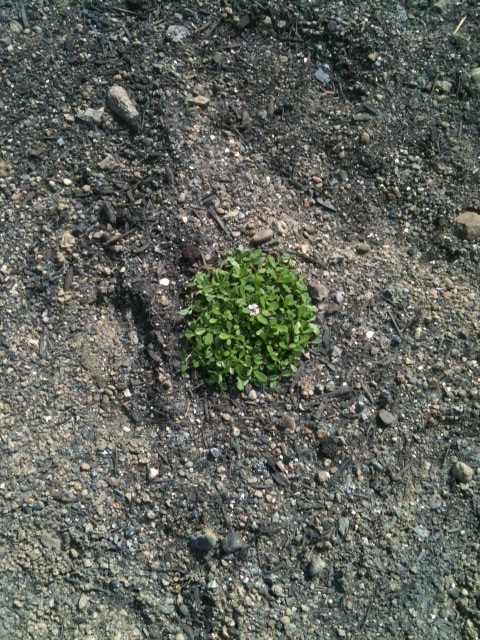 f:id:mA-style:20120723192531j:image:w360