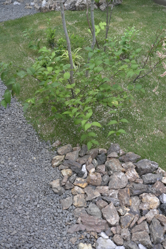 f:id:mA-style:20130607204210j:image:w360