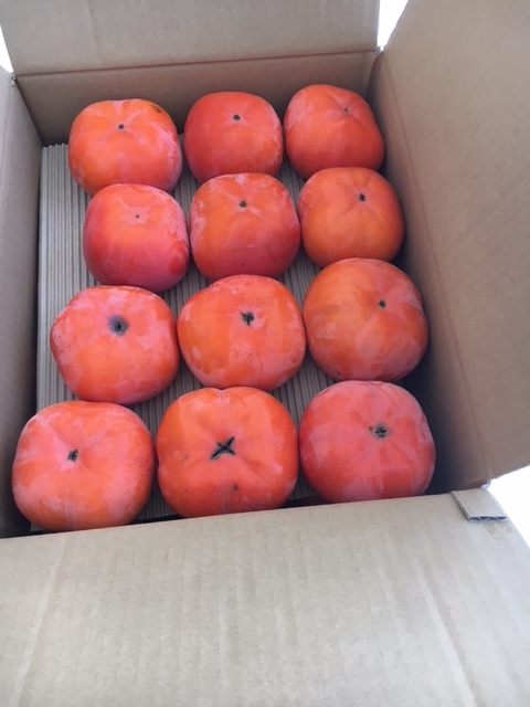 f:id:mA-style:20161130100842j:image:w360