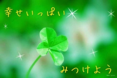 f:id:mEgao:20170304084402j:plain f:id:mEgao:20170304084402j:plain