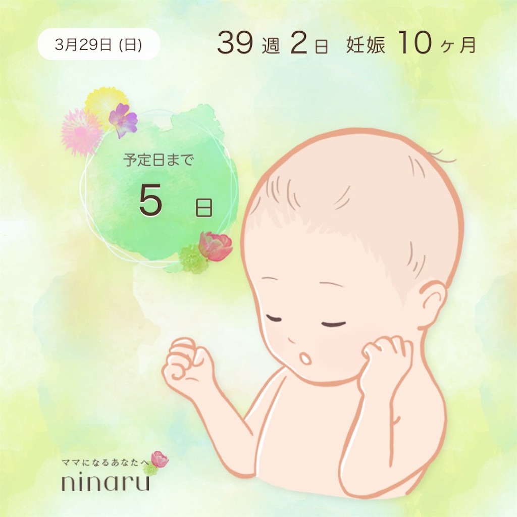 Mizukiと赤さんの日常