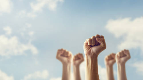 Let's Fight!