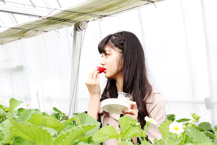 f:id:m_90a:20190423003116j:plain f:id:m_90a:20190423003116j:plain