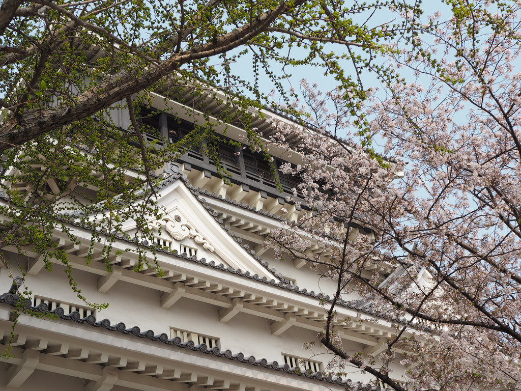 f:id:m_atsushi:20190521192430j:plain f:id:m_atsushi:20190521192430j:plain