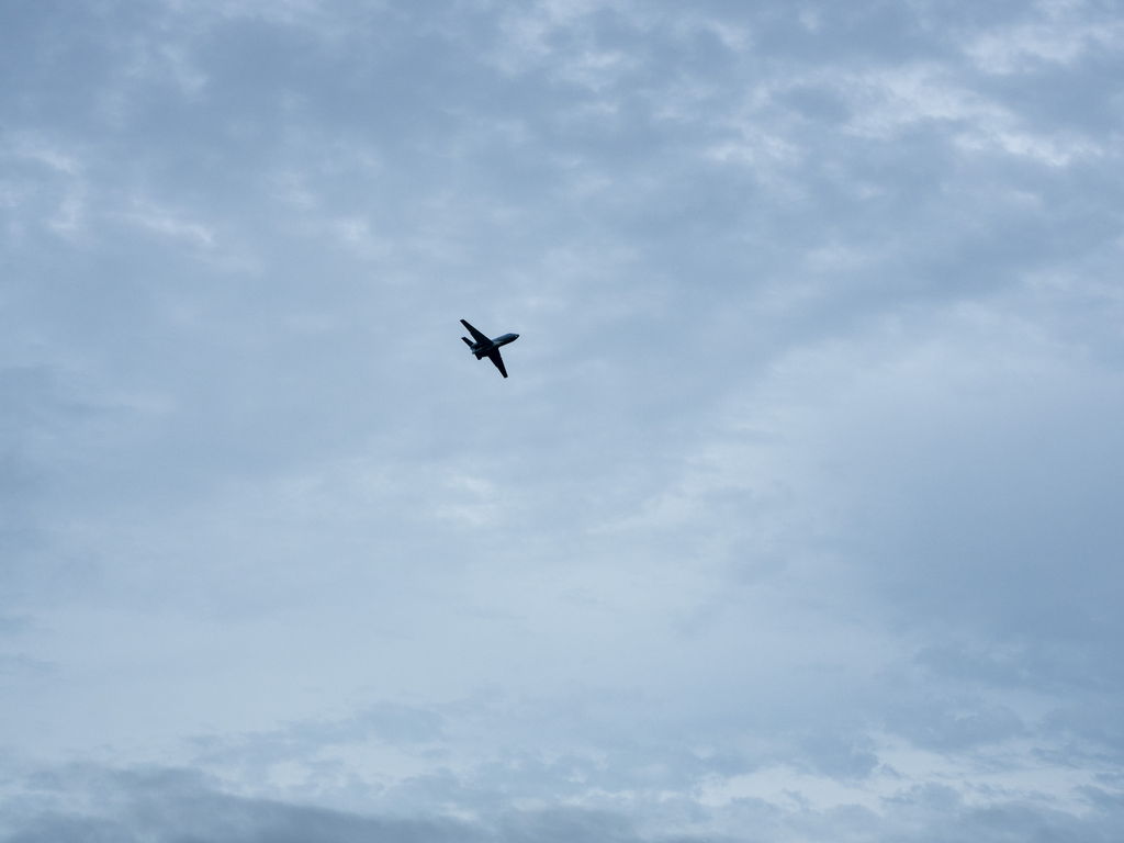 f:id:m_atsushi:20190710195507j:plain f:id:m_atsushi:20190710195507j:plain