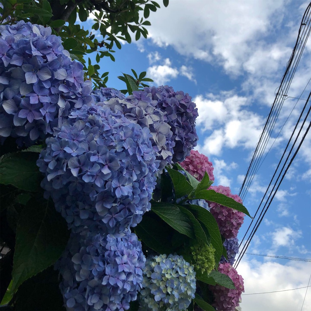 f:id:m_beep:20190823163300j:image