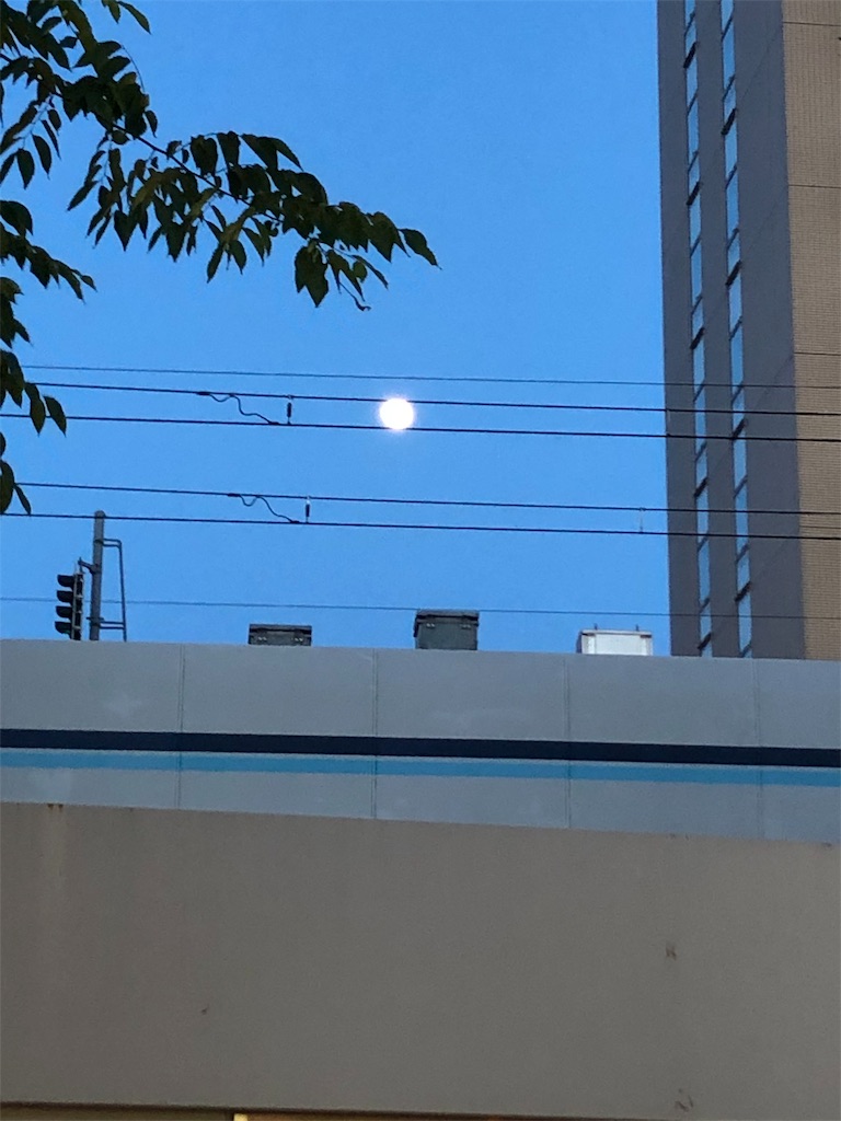 f:id:m_beep:20190823163704j:image