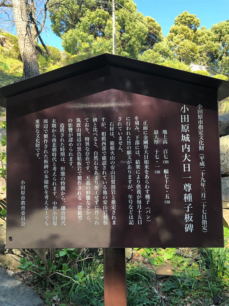f:id:m_beep:20200311230830j:image
