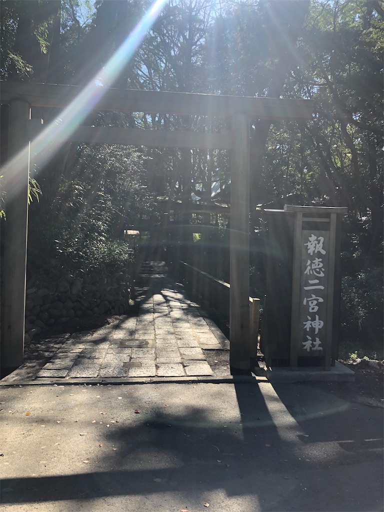 f:id:m_beep:20200311231036j:image
