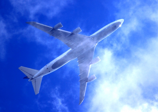 f:id:m_by_the_sea:20190911212011j:plain:w500 ハワイ 旅行 赤ちゃん 子連れ 飛行機 予約 0歳 0才
