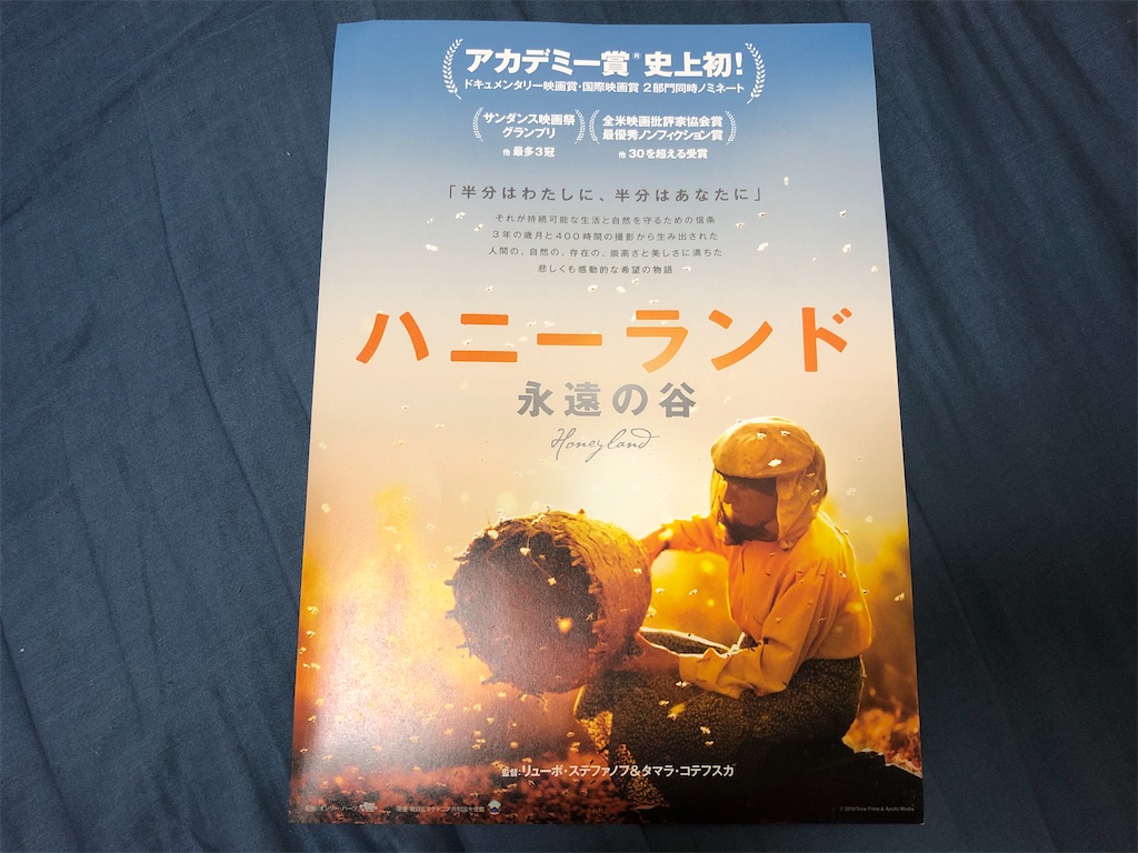 物語のようなドキュメンタリーで 現実の美しさと厳しさを知る ハニーランド 永遠の谷 感想 ふーみんlabo 仮 物語のようなドキュメンタリーで 現実の美しさと厳しさを知る ハニーランド 永遠の谷 感想 ふーみんlabo 仮