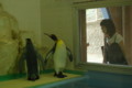 20090903122407
