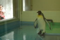 20090903122540