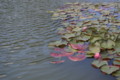 20091009114822