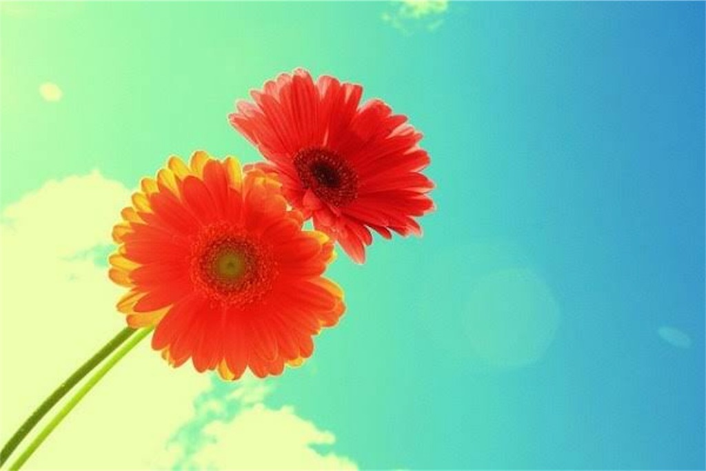 f:id:m_i_1_0:20191114143227j:image f:id:m_i_1_0:20191114143227j:image
