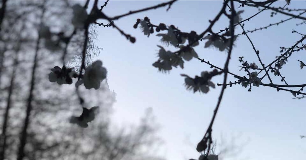 f:id:m_i_1_0:20191212170018j:image f:id:m_i_1_0:20191212170018j:image