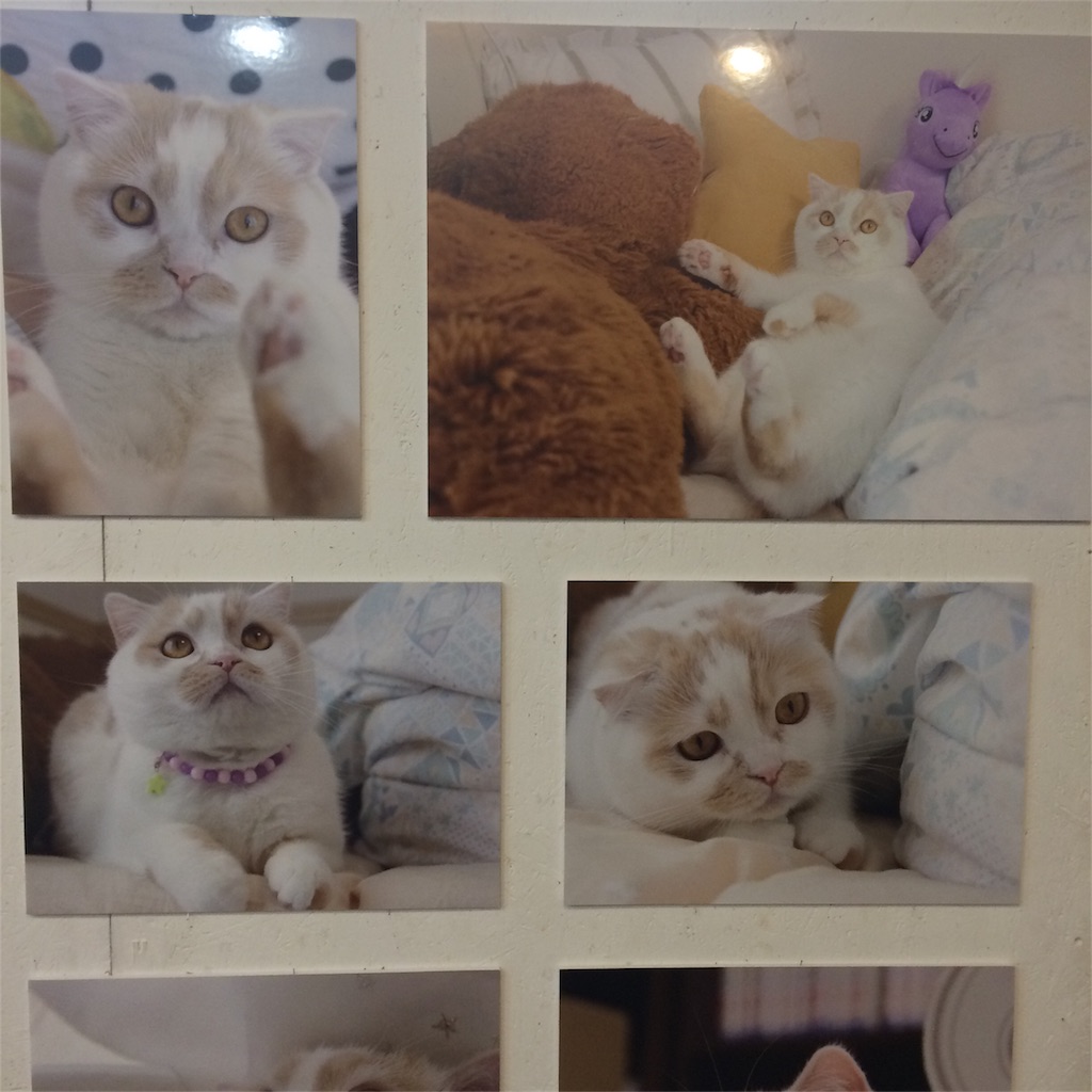 f:id:m_m1sha:20180825214035j:image